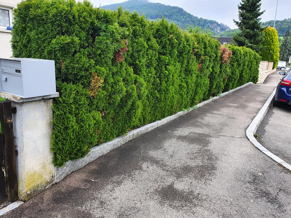 Remplacement d'une haie par une barrière